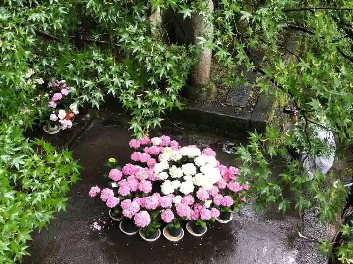 長谷寺(奈良県)