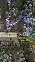 称名寺(稱名寺)(京都府)