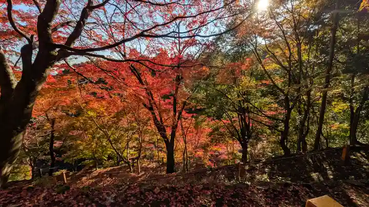 善峯寺(京都府)