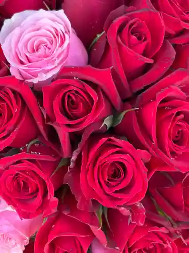 上尾御嶽神社(埼玉県)