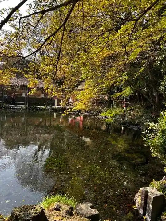 富士山本宮浅間大社の{uncategorized: "未分類", other: "その他", undefined: "問題あり", building: "その他建物", grave: "お墓", sacred_gate: "鳥居", guardian: "狛犬", statue: "像", buddha: "仏像", history: "歴史", nature: "自然", garden: "庭園", animal: "動物", pagoda: "塔", temizu: "手水舎", mountain_gate: "山門・神門", sanctuary: "本殿・本堂", subordinate: "末社・摂社", art: "芸術", scenery: "景色", jizo: "地蔵", ema: "絵馬", goshuin: "御朱印", omikuji: "おみくじ", items: "授与品その他", amulet: "お守り", goshuincho: "御朱印帳", eats: "食事", festival: "お祭り", votive_dance: "神楽", shichigosan: "七五三参", wedding: "結婚式", experience: "体験その他", initially: "初詣", around: "周辺", anti_infection: "感染症対策"}