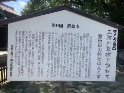 新田白山神社のその他建物