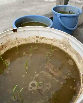 大鏑神社(福島県)