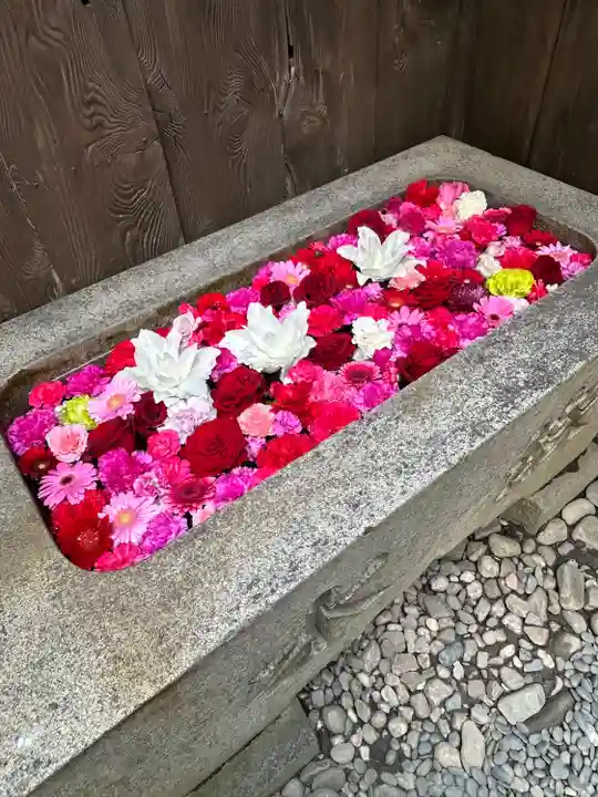 菅生神社(愛知県)