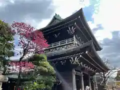 川崎大師（平間寺）(神奈川県)