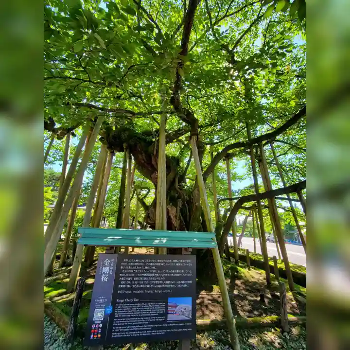輪王寺(栃木県)