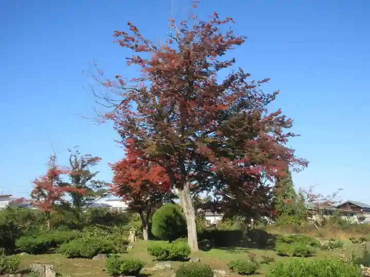 法泉寺(山形県)