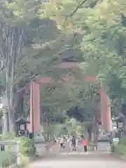 武蔵一宮氷川神社の鳥居