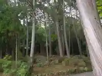 龍潭寺(京都府)