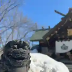 札幌諏訪神社の狛犬