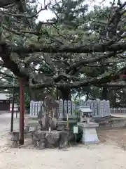 浜宮天神社の庭園