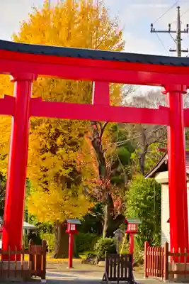 鷲宮神社(埼玉県)
