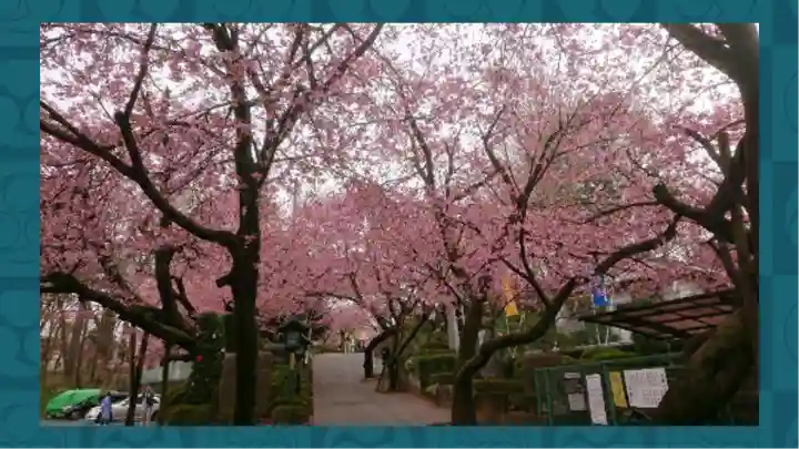 密藏院(埼玉県)