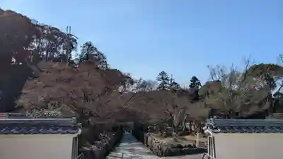 興聖寺（興聖寶林禅寺）の景色