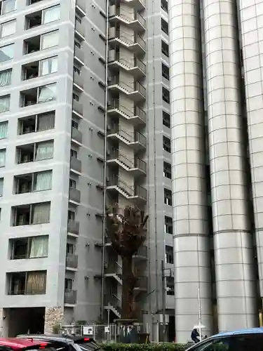 箒銀杏天満宮(東京都)