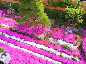 寿量山 速成寺(奈良県)(2022年04月19日(火) 14時02分25秒投稿)