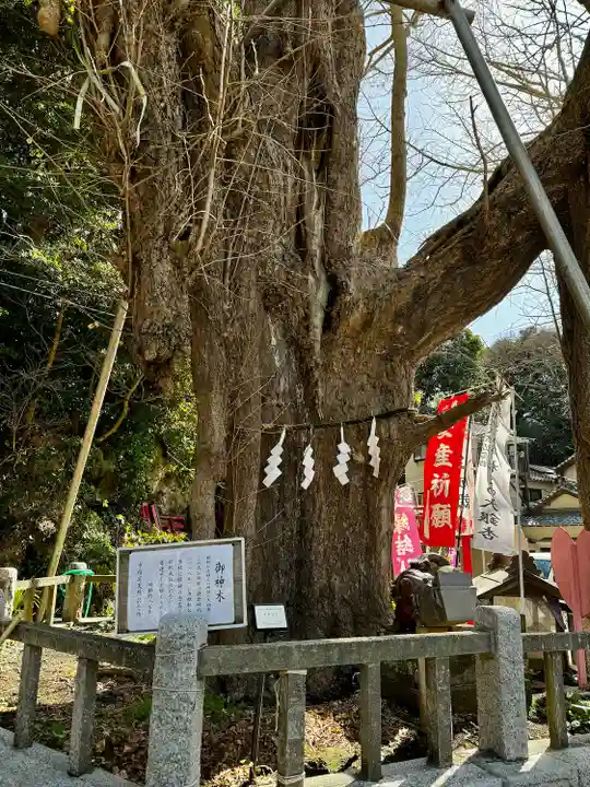 海南神社(神奈川県)