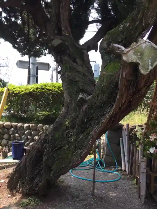 竹神社(三重県)