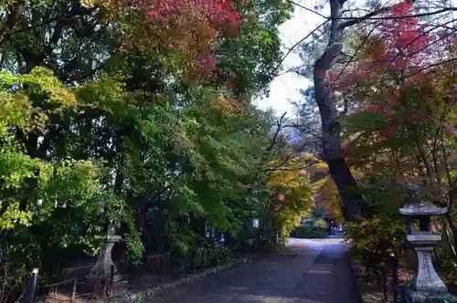 宇治上神社の自然