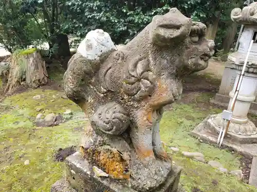 白山神社の狛犬