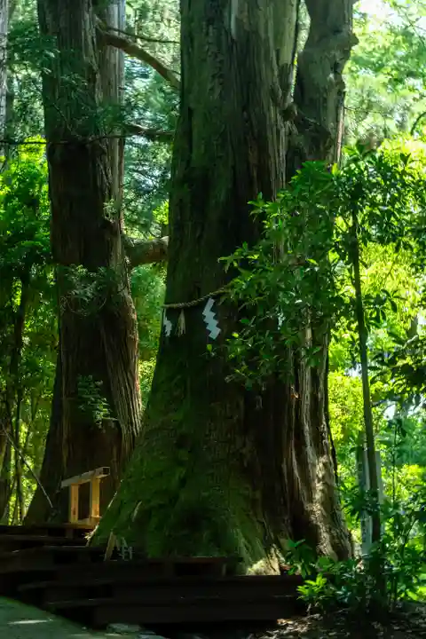 白山比咩神社(石川県)