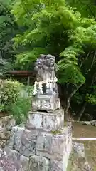 表米神社の狛犬