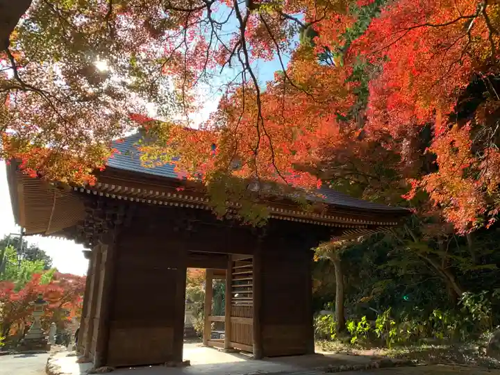 普門寺(切り絵御朱印発祥の寺)の山門・神門