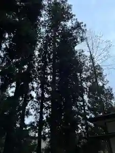 大宮温泉神社(栃木県)(2023年12月21日(木) 08時12分04秒投稿)