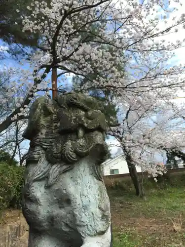 琵琶神社の狛犬