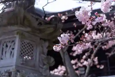 近江神宮(滋賀県)