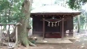 熊野神社の本殿・本堂