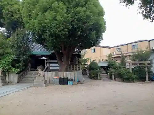 月洲神社(大阪府)
