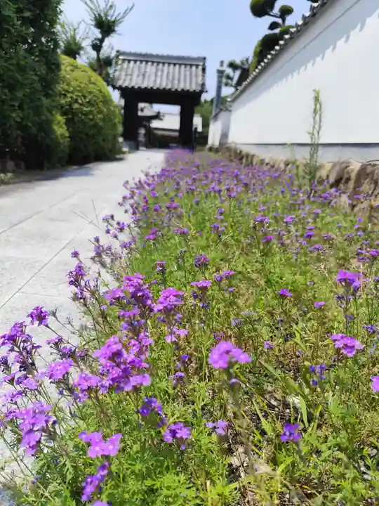 浄土寺(愛媛県)