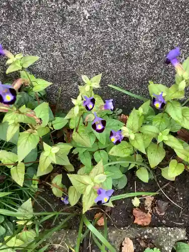 玉野御嶽神社の自然