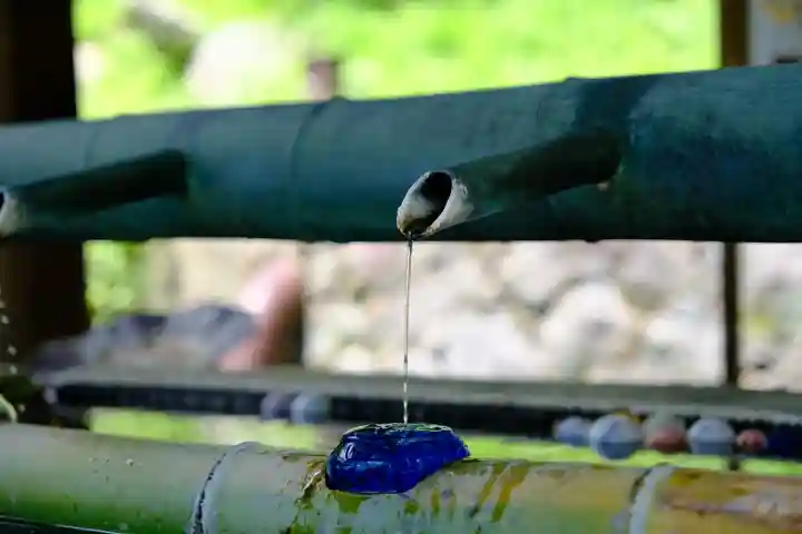 岡寺(龍蓋寺)の手水舎