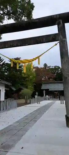 相馬神社の{uncategorized: "未分類", other: "その他", undefined: "問題あり", building: "その他建物", grave: "お墓", sacred_gate: "鳥居", guardian: "狛犬", statue: "像", buddha: "仏像", history: "歴史", nature: "自然", garden: "庭園", animal: "動物", pagoda: "塔", temizu: "手水舎", mountain_gate: "山門・神門", sanctuary: "本殿・本堂", subordinate: "末社・摂社", art: "芸術", scenery: "景色", jizo: "地蔵", ema: "絵馬", goshuin: "御朱印", omikuji: "おみくじ", items: "授与品その他", amulet: "お守り", goshuincho: "御朱印帳", eats: "食事", festival: "お祭り", votive_dance: "神楽", shichigosan: "七五三参", wedding: "結婚式", experience: "体験その他", initially: "初詣", around: "周辺", anti_infection: "感染症対策"}