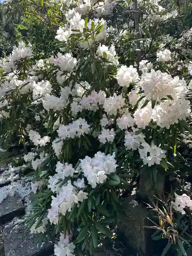 護国寺(富山県)