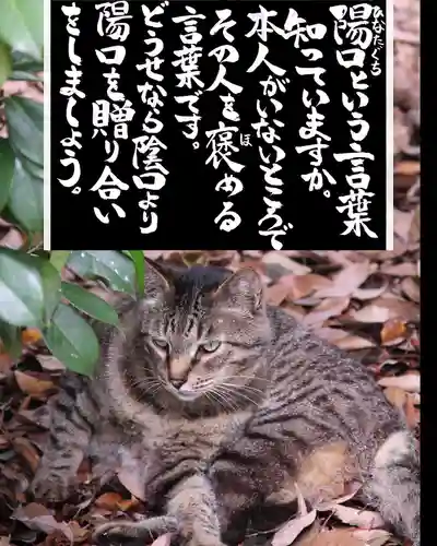 専念寺(大阪府)