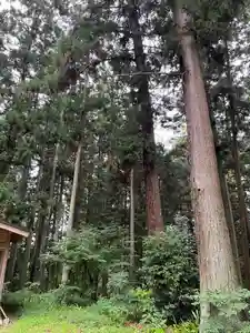 大宮温泉神社(栃木県)(2023年08月01日(火) 08時11分01秒投稿)