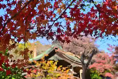 本土寺(千葉県)