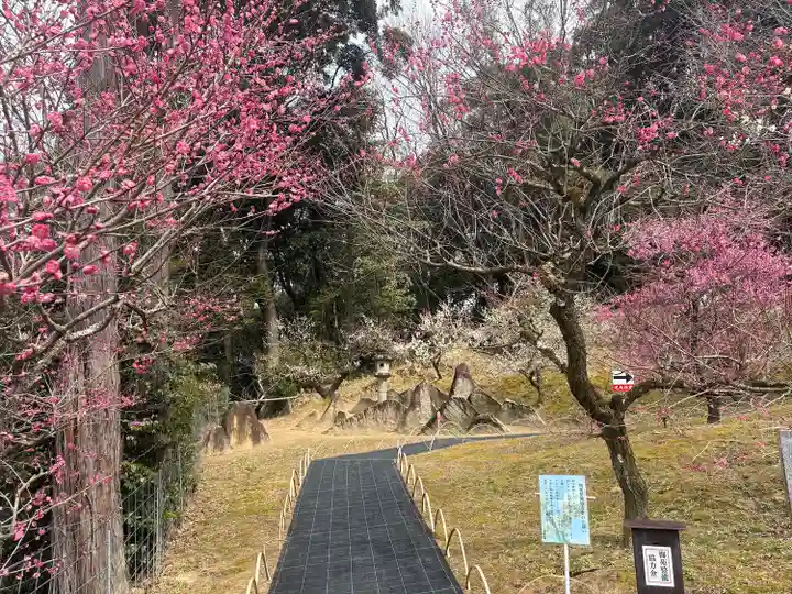 岩津天満宮の自然