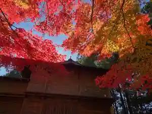 滑川神社 - 仕事と子どもの守り神の自然(2021年11月15日(月) 18時06分43秒投稿)