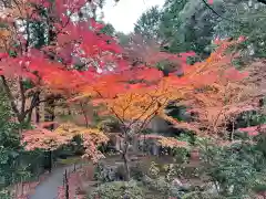 金剛輪寺の自然