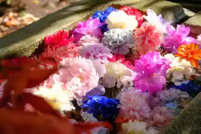 村雲御所瑞龍寺門跡の手水舎