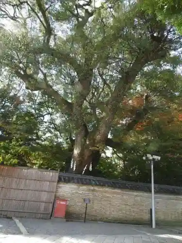 石清水八幡宮の建物その他