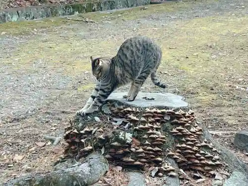 前山寺(長野県)