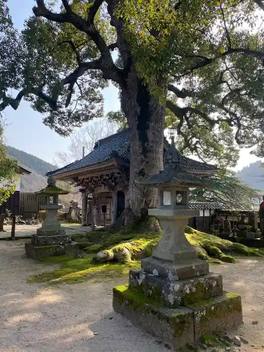 大乗寺(兵庫県)