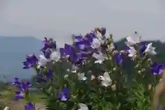 高司神社〜むすびの神の鎮まる社〜の自然