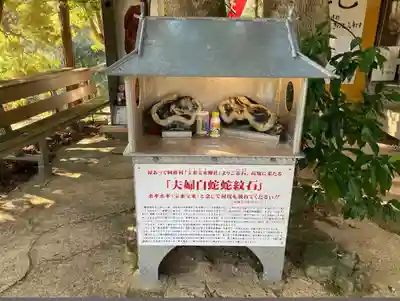 蛇王神社(高知県)