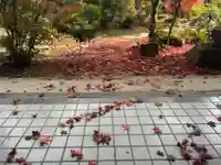 木舟山 順教寺(広島県)